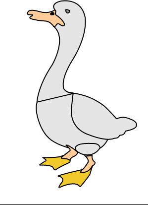 ����� - duck_15.jpg