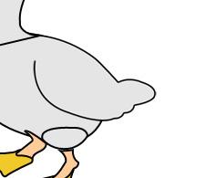 ����� - duck_18.jpg