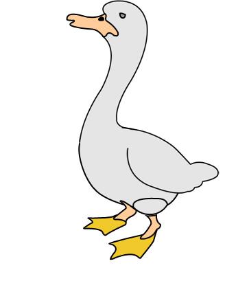 ����� - duck_19.jpg