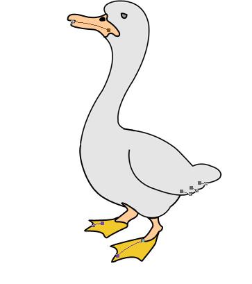����� - duck_21.jpg