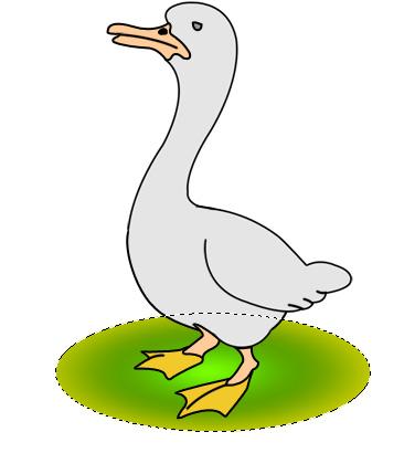 ����� - duck_26.jpg