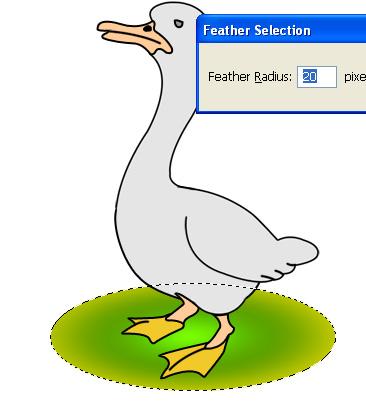 ����� - duck_27.jpg