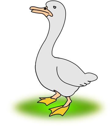 ����� - duck_28.jpg