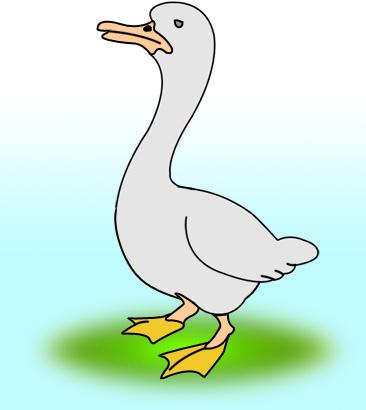 ����� - duck_29.jpg