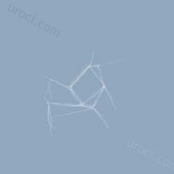 www.uroci.com photoshop óðîê