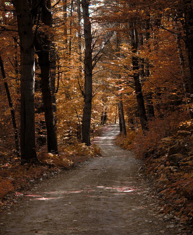 уроци - path2.jpg уроци - path2.jpg
