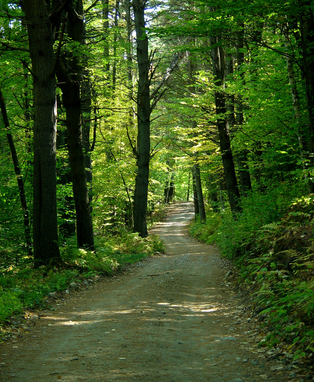 уроци - path640.jpg уроци - path640.jpg